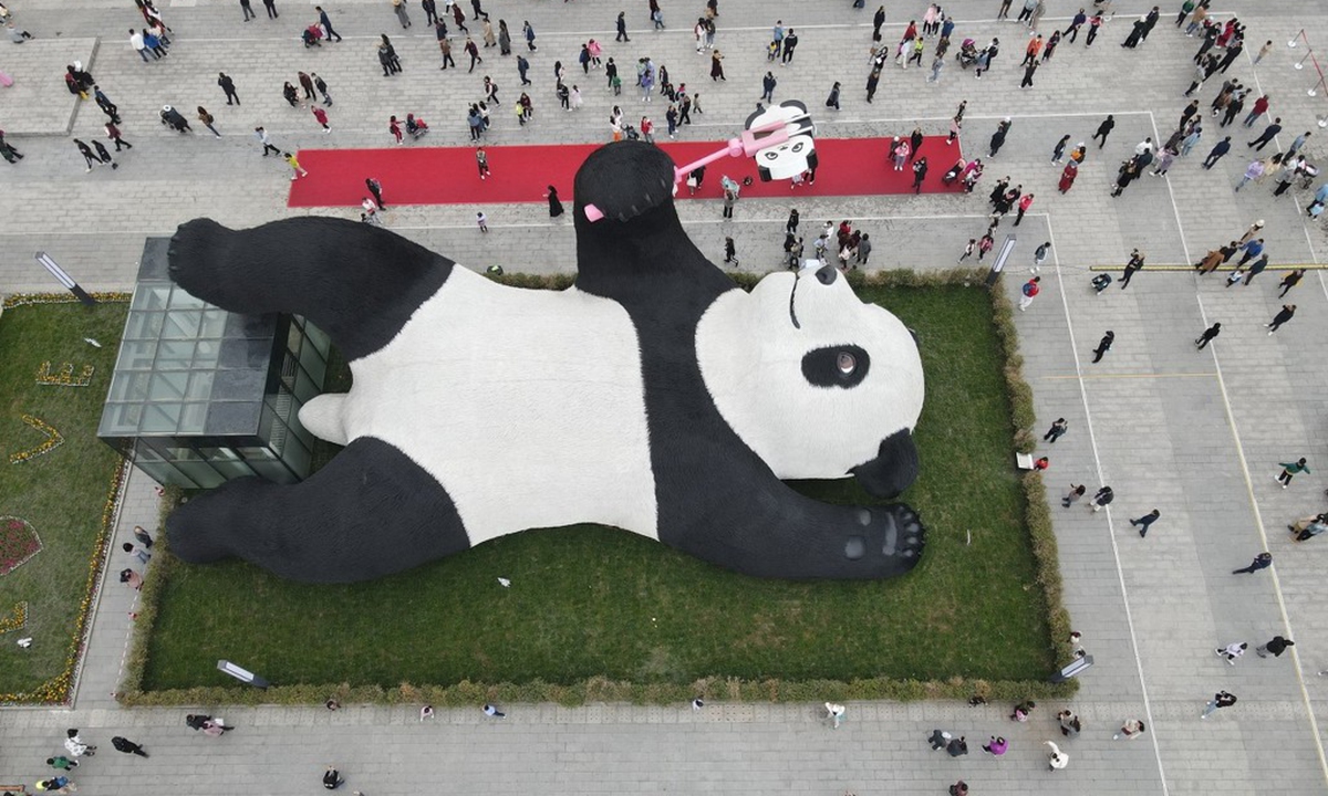 Chú gấu khổng lồ tại Trung Quốc