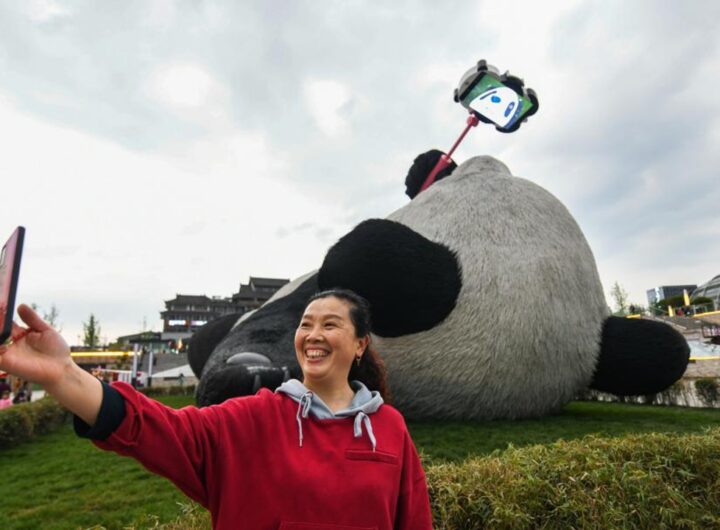Selfie Panda